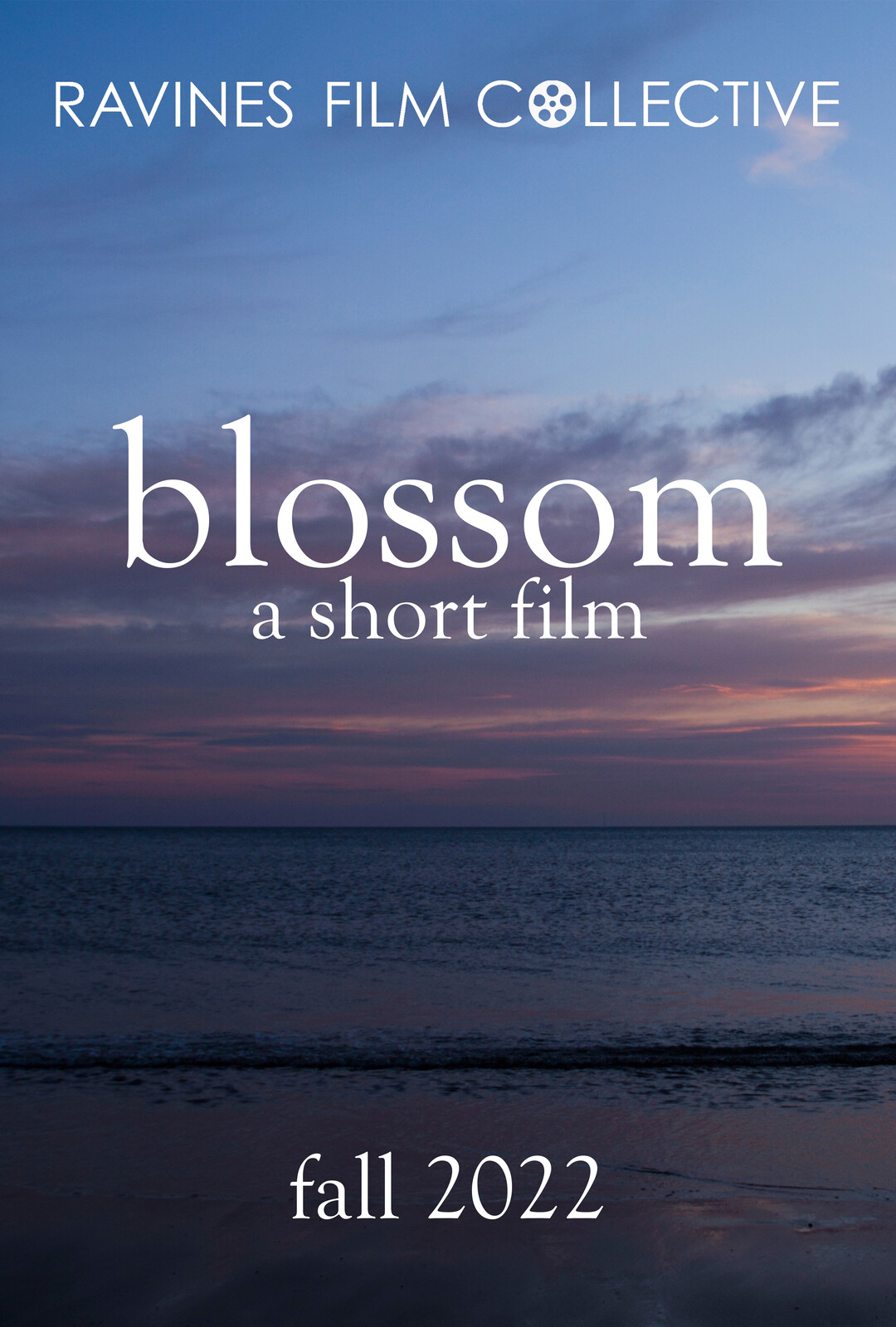Сакура коно. Blossom films. Love blossoms 2017. Blossom films. Сакура коно.