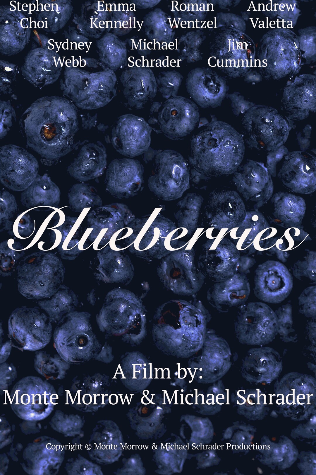 Blueberries Movie 11035850