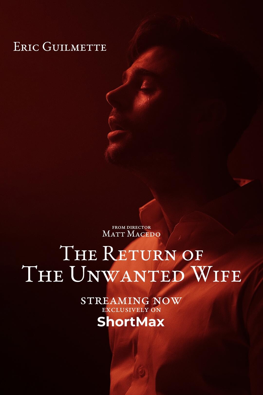 The Return of the Unwanted Wife (miniseries, 2024)