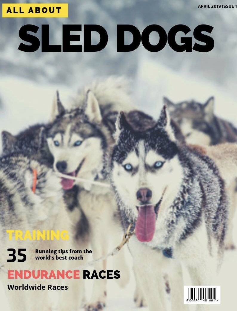 All About Sled Dogs (movie)