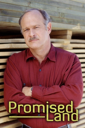 Серіал «Земля обетованная» (1996 – 1999)