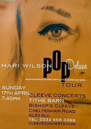Фільм «Pop Deluxe Live! - Mari Wilson» (2016)