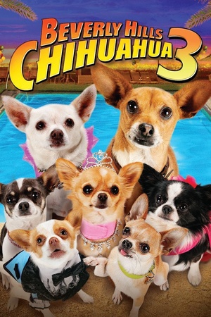 Movie "Beverly Hills Chihuahua 3: Viva La Fiesta!" (2012)