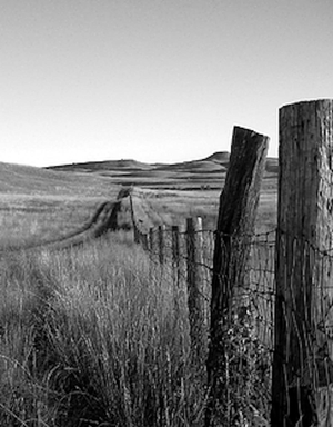 Фильм «A Home Out West»
