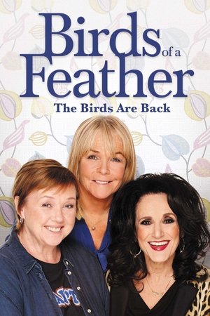 Сериал «Birds of a Feather» (1989 – 2018)