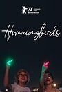 Movie "Hummingbirds" (2023)