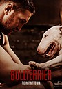 Бультер’єр