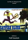 Animation Movie "Catfish Blues" (2003)