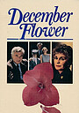 Movie "December Flower" (1984)