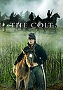 Movie "The Colt" (2005)