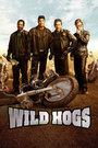 Movie "Wild Hogs" (2007)