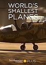 Movie "World's Smallest Planes" (2007)