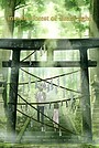 To the Forest of Firefly Lights