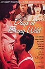 Days of Being Wild
