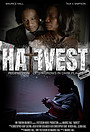 Movie "Harvest" (2023)