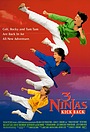 Movie "3 Ninjas Kick Back" (1994)
